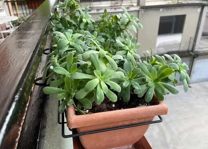 Spazioso In Centro Piacenza